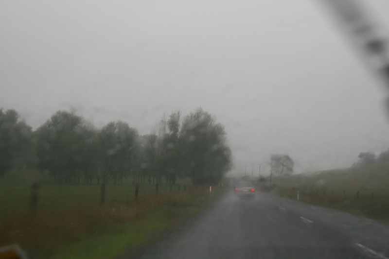 Nieuw-Zeeland 2011 - 0501